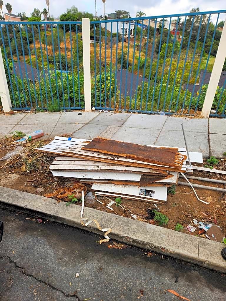 Image submitted with report