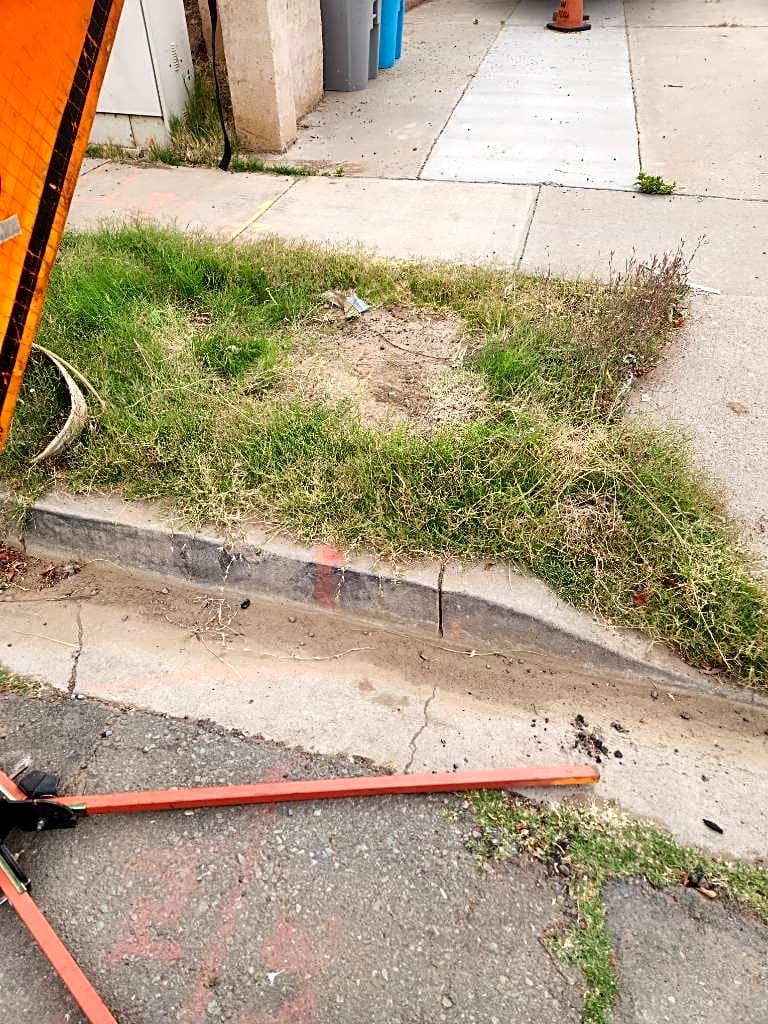 Image submitted with report