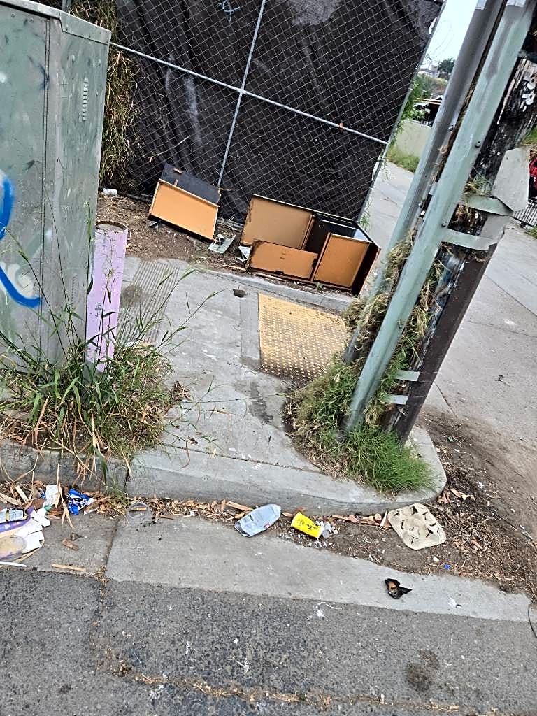 Image submitted with report