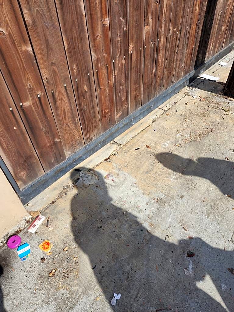 Image submitted with report