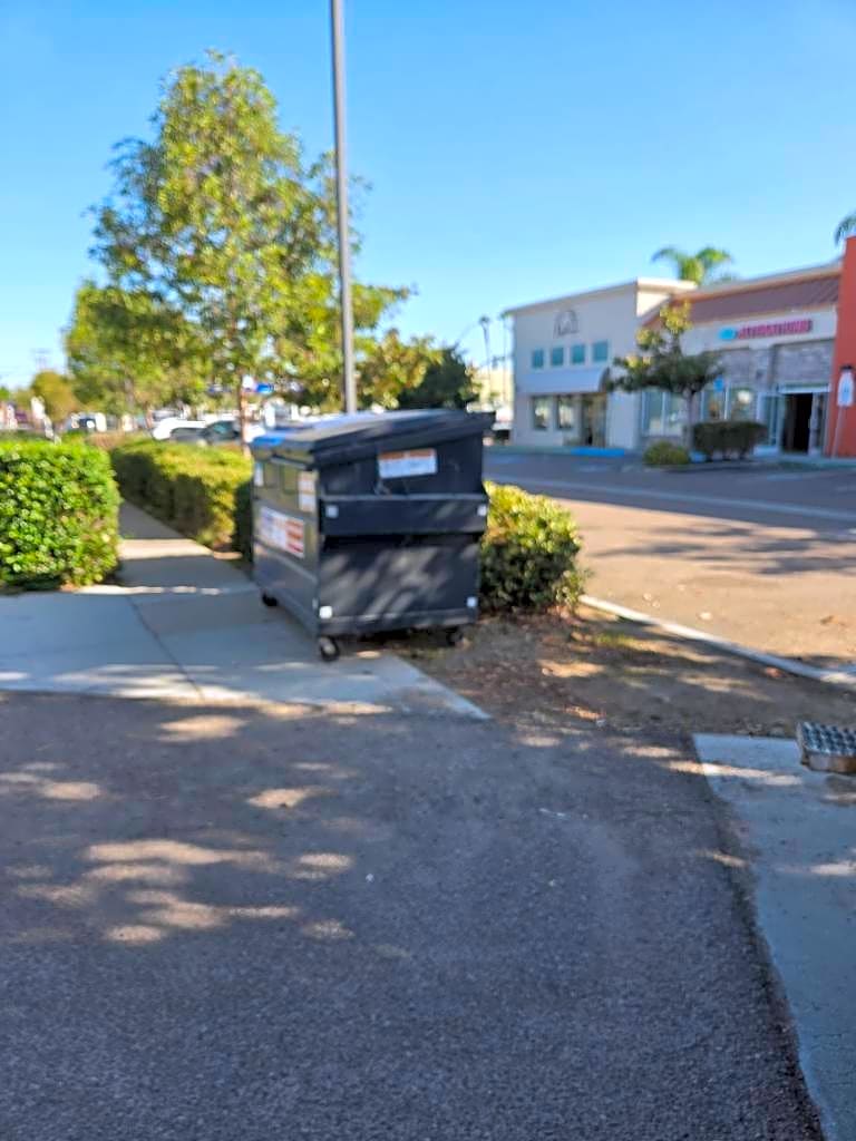 Image submitted with report