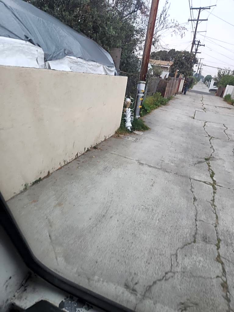 Image submitted with report