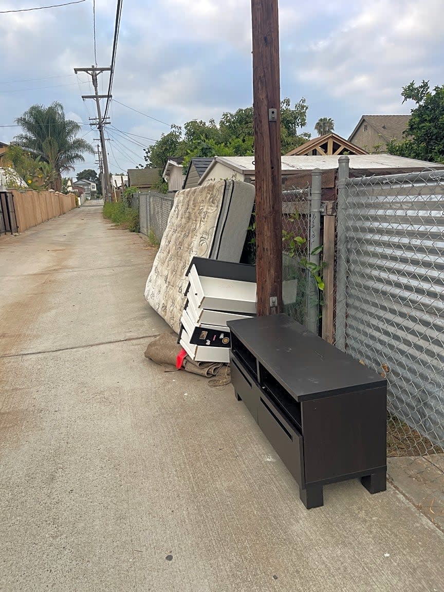 Image submitted with report