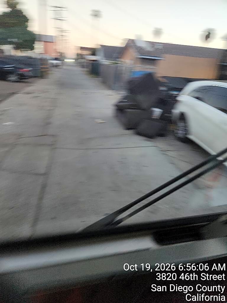 Image submitted with report