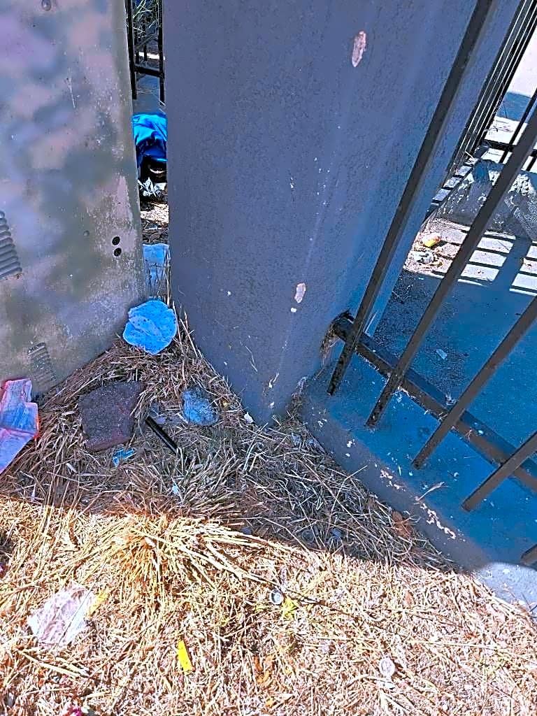 Image submitted with report