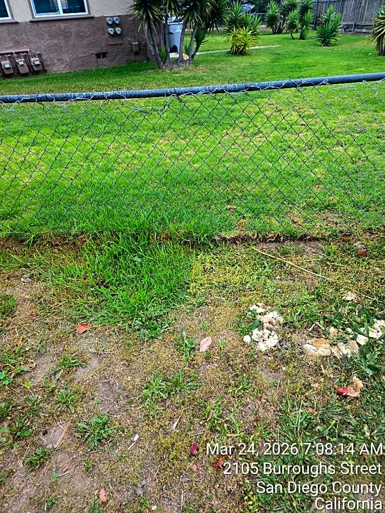 Image submitted with report