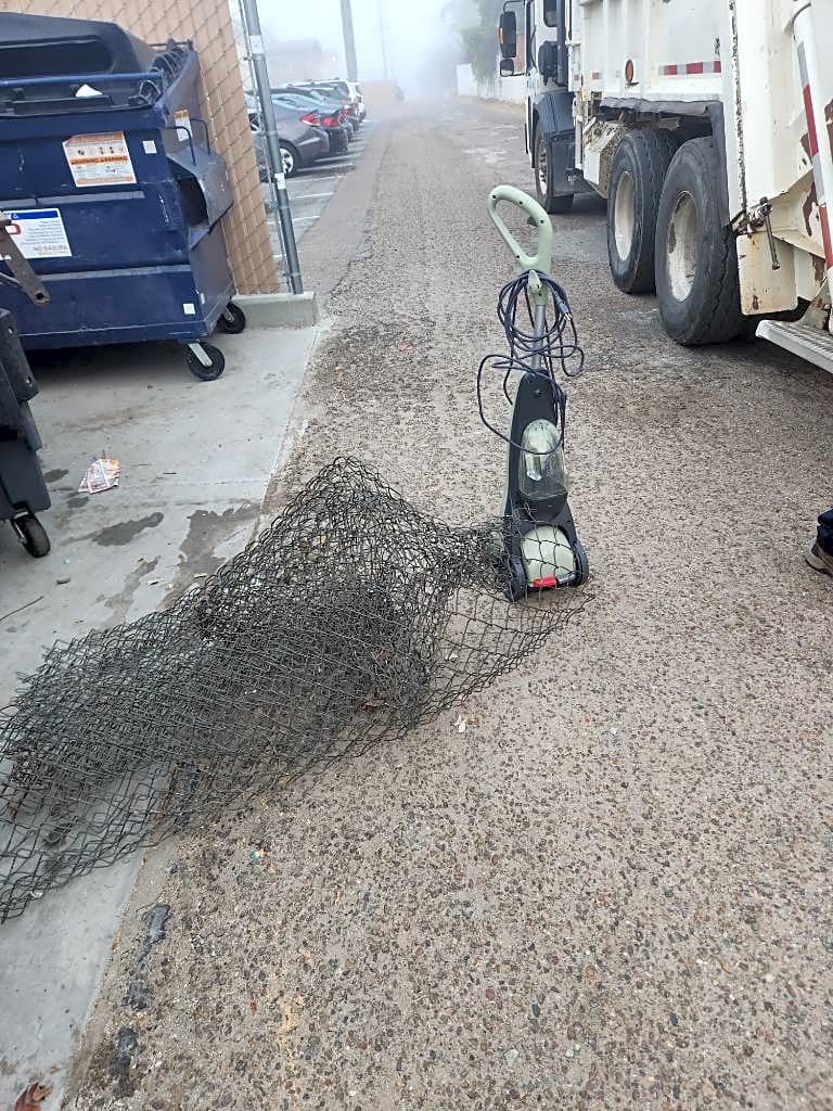 Image submitted with report