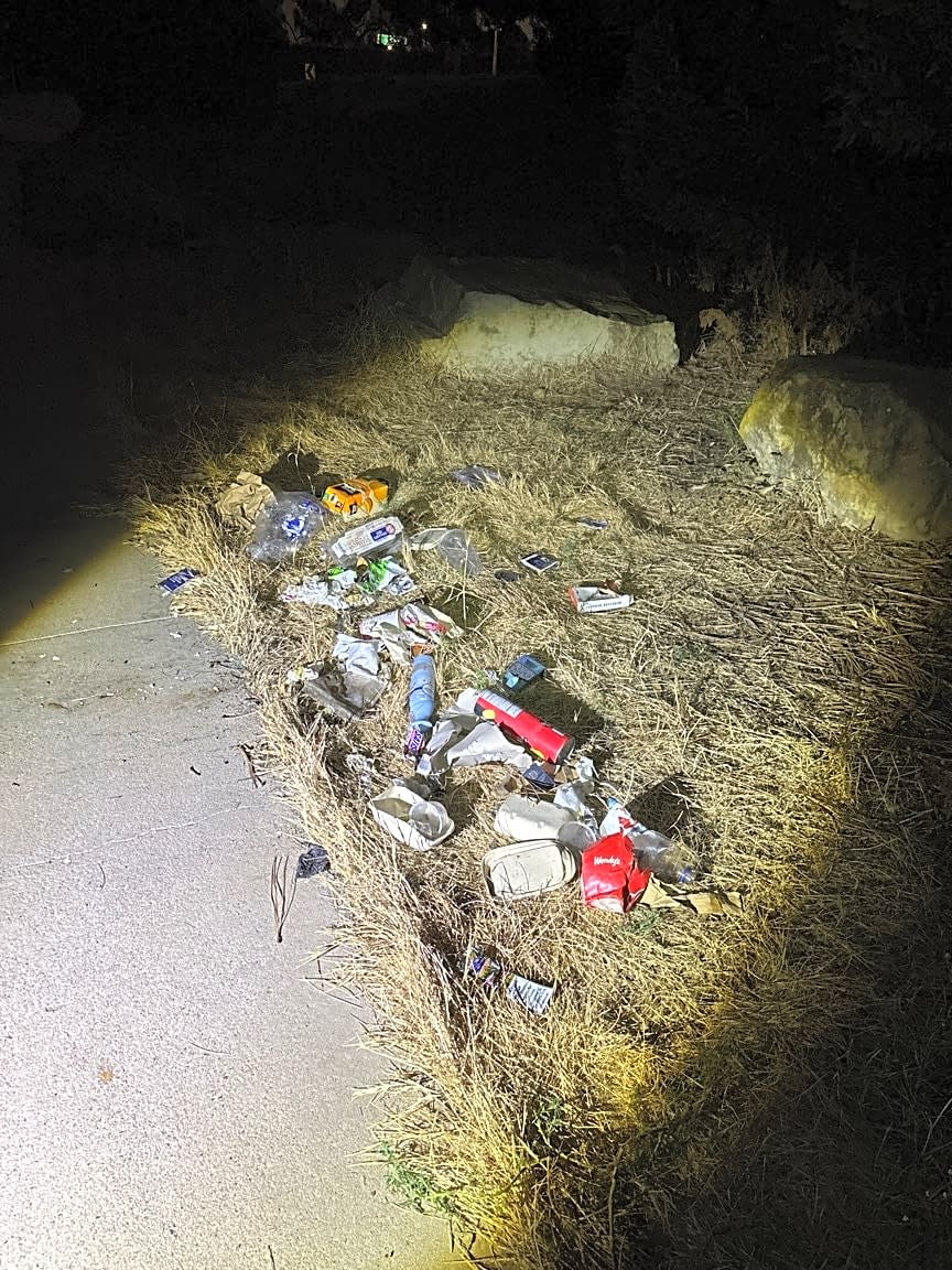 Image submitted with report
