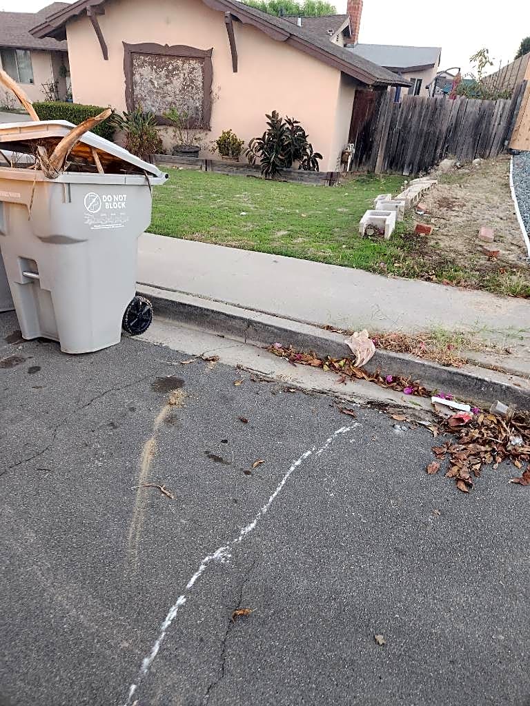 Image submitted with report