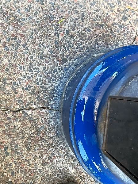 Image submitted with report