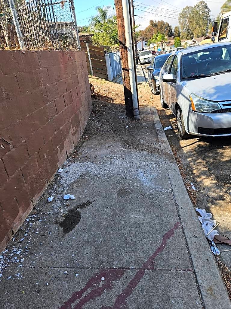 Image submitted with report
