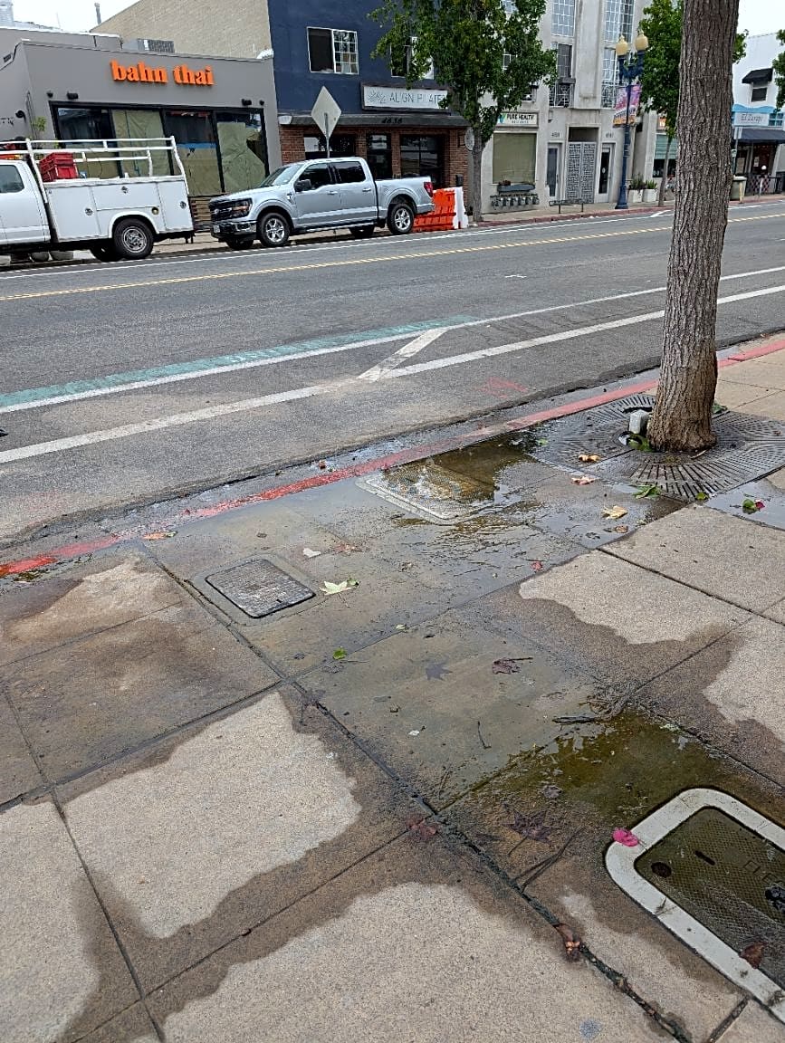 Image submitted with report