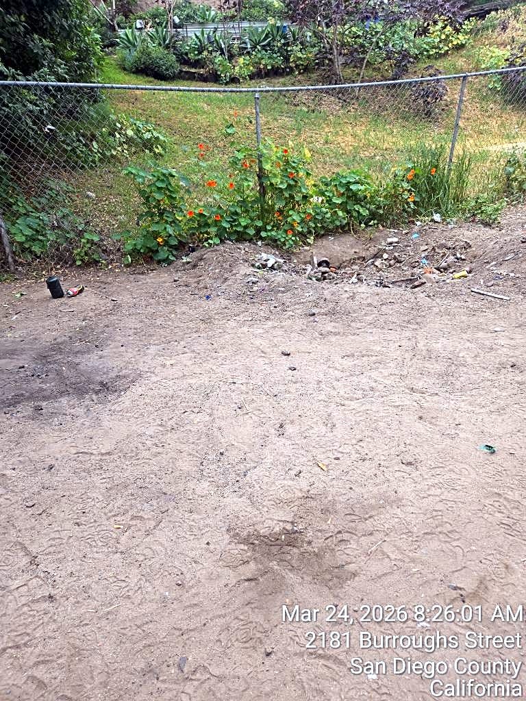 Image submitted with report