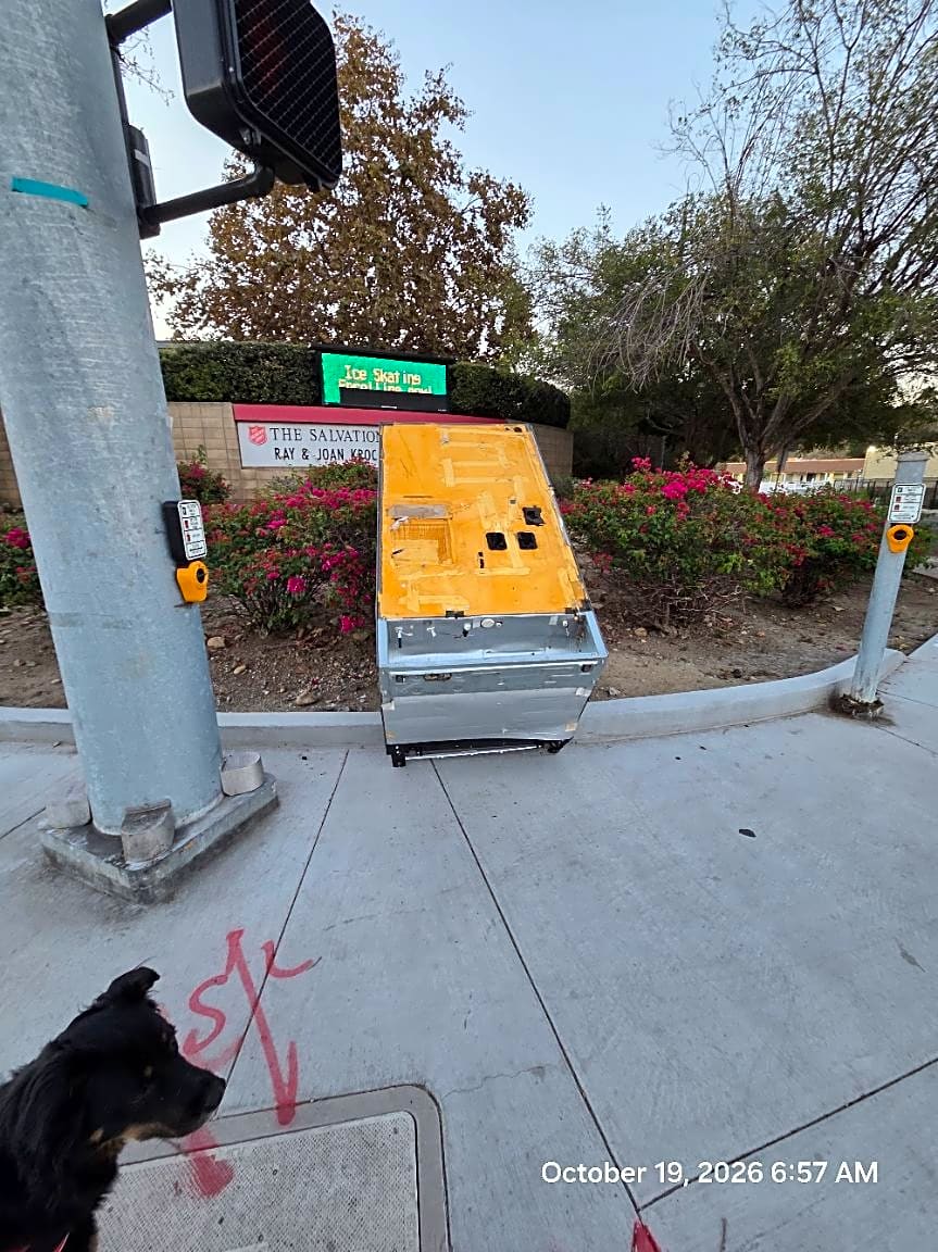 Image submitted with report