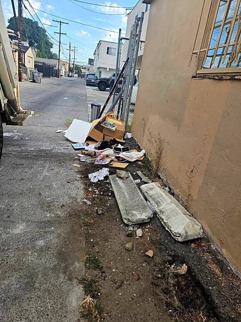 Image submitted with report