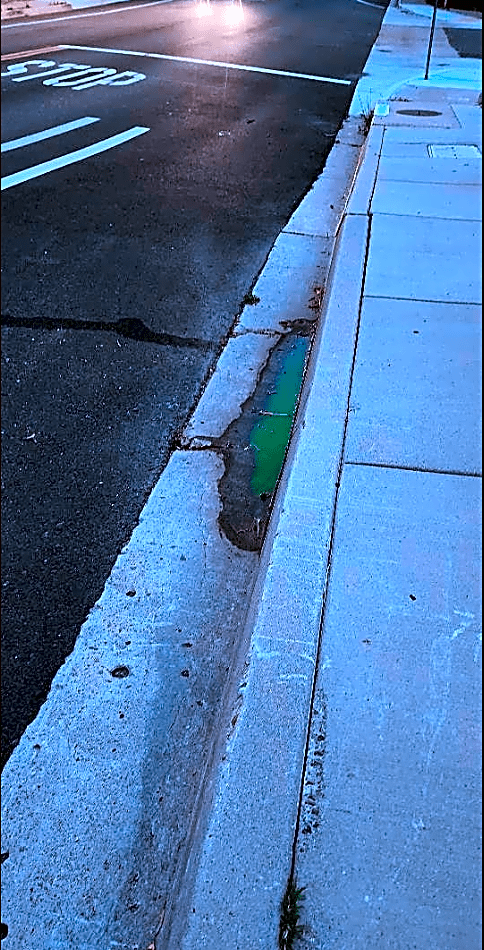 Image submitted with report