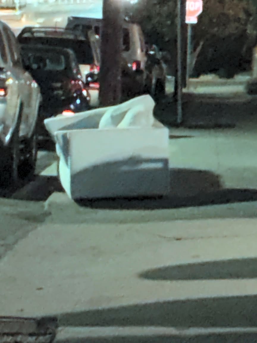 Image submitted with report