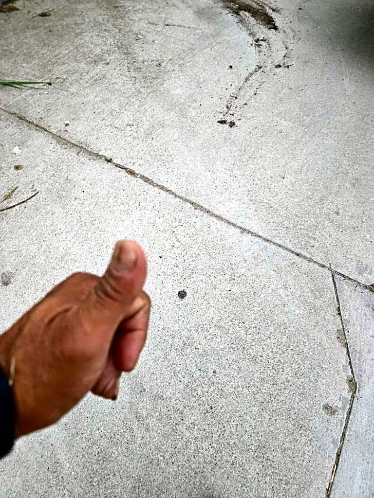 Image submitted with report