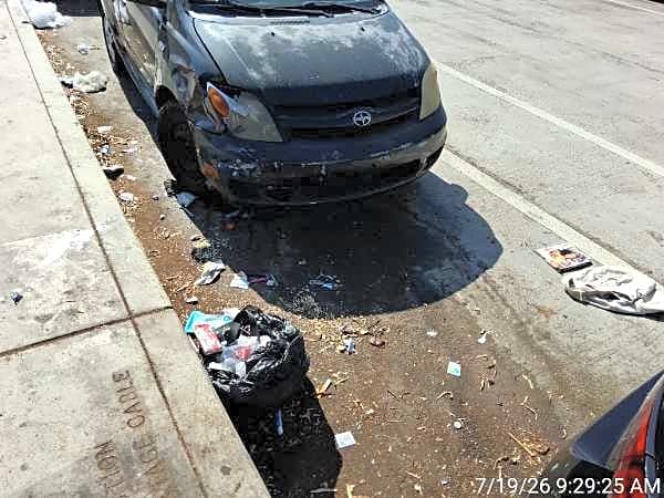 Image submitted with report