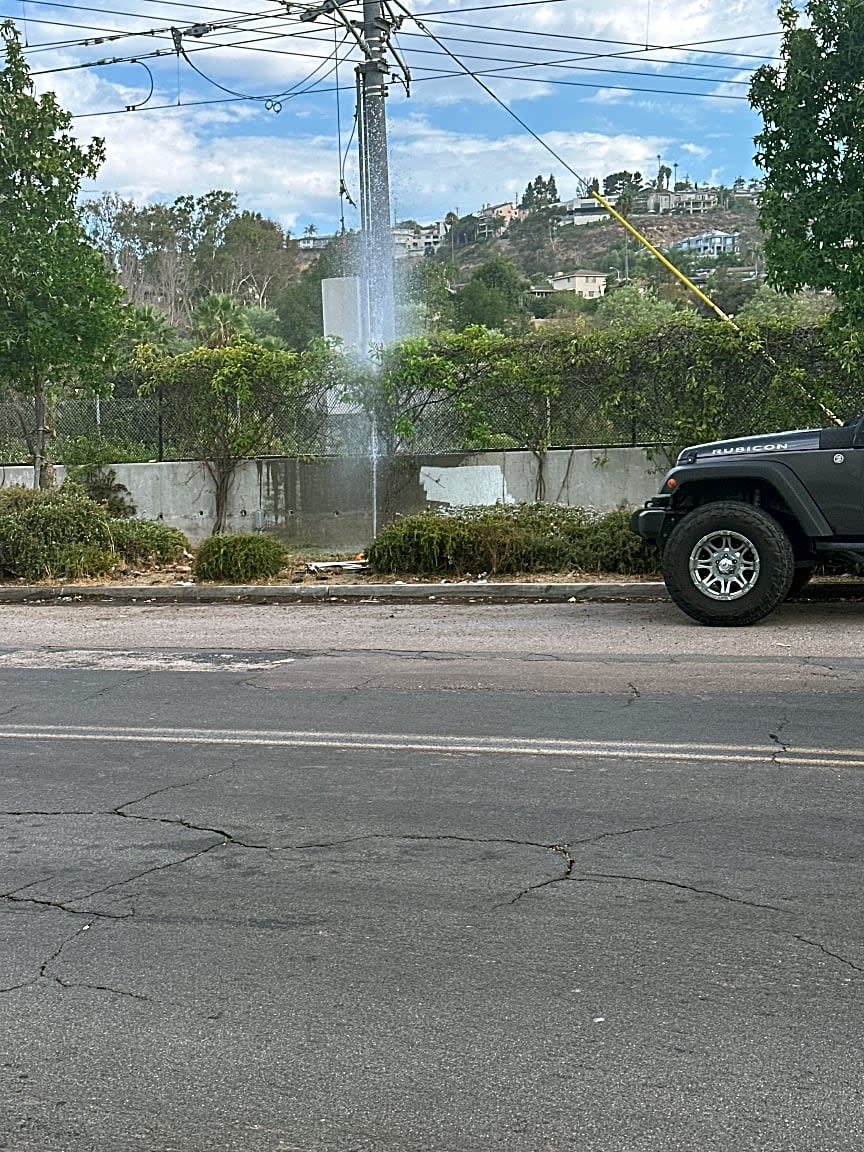 Image submitted with report