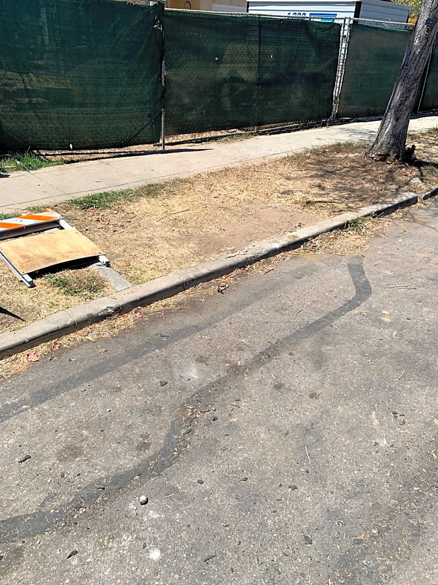 Image submitted with report