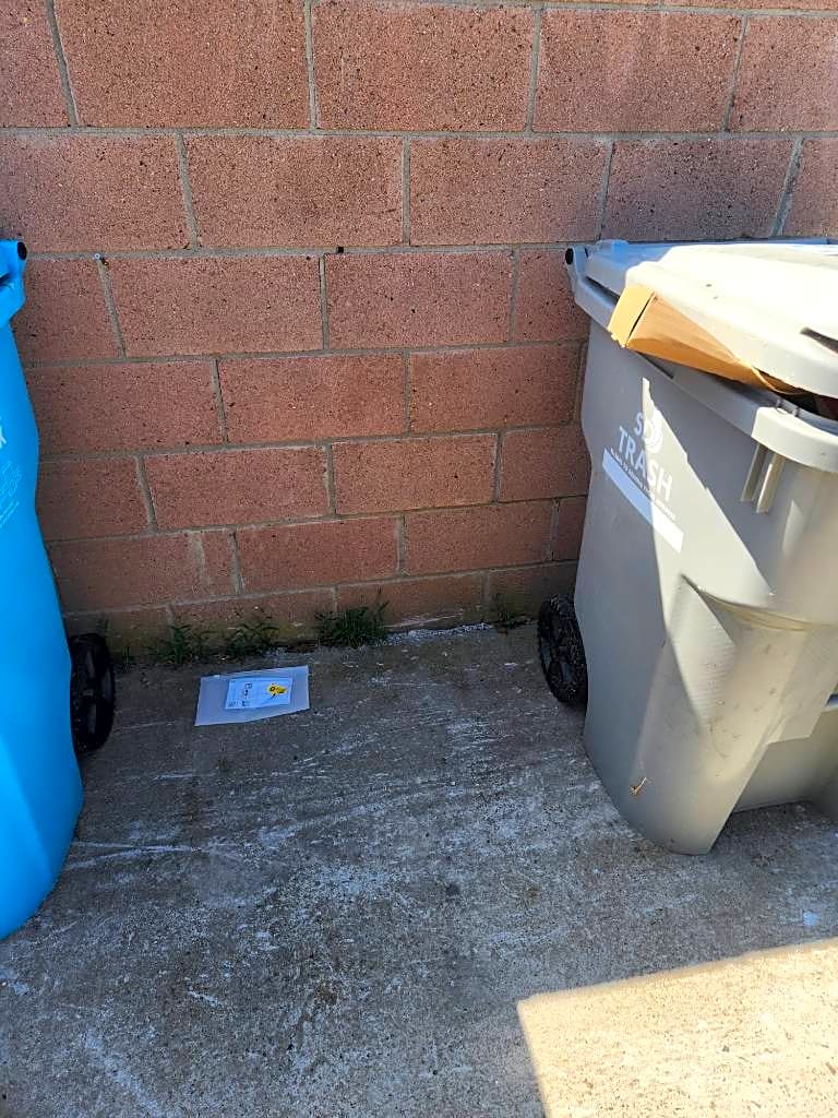 Image submitted with report