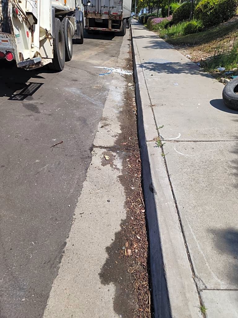 Image submitted with report
