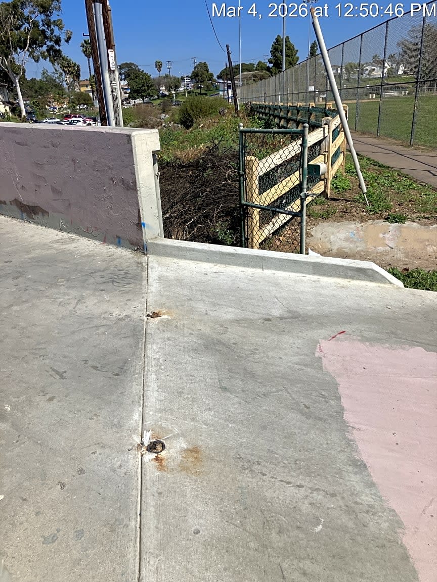 Image submitted with report