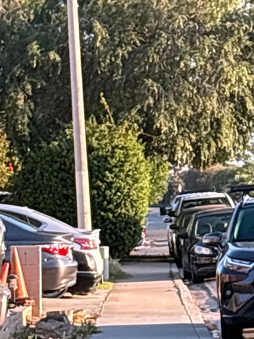 Image submitted with report