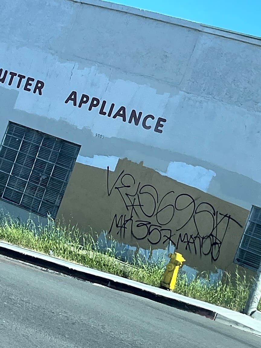 Image submitted with report