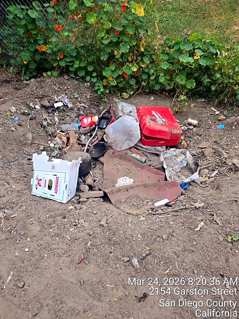 Image submitted with report