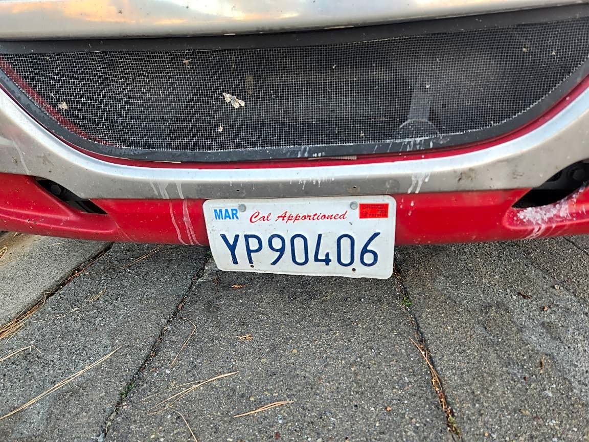 Image submitted with report