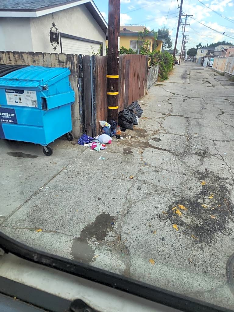 Image submitted with report