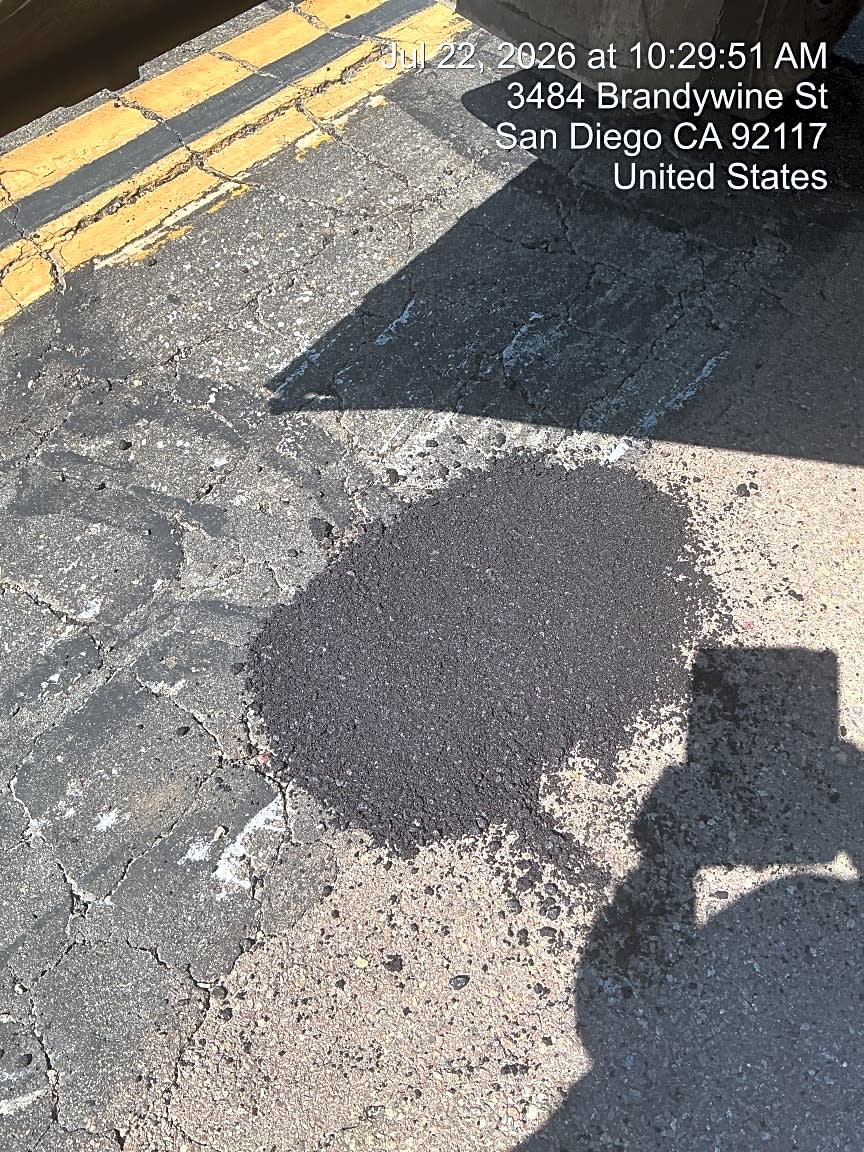 Image submitted with report