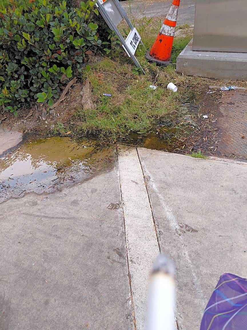Image submitted with report