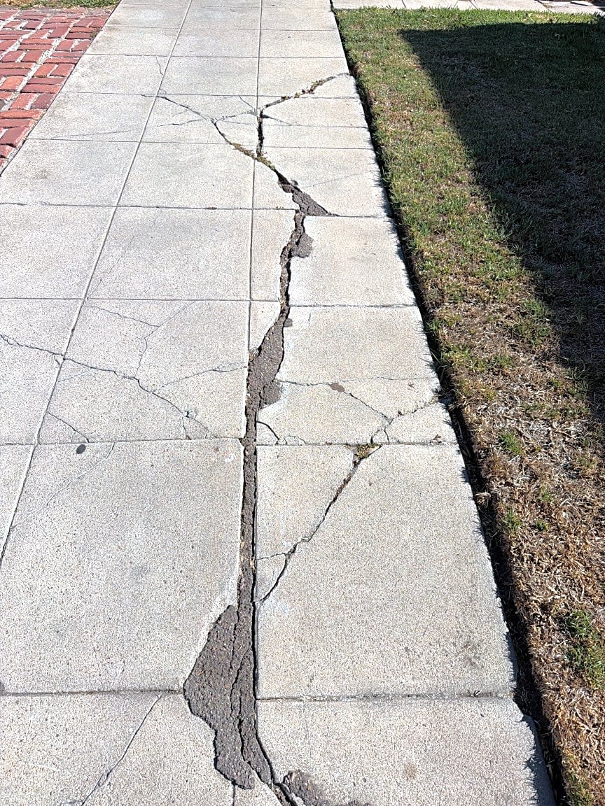 Image submitted with report