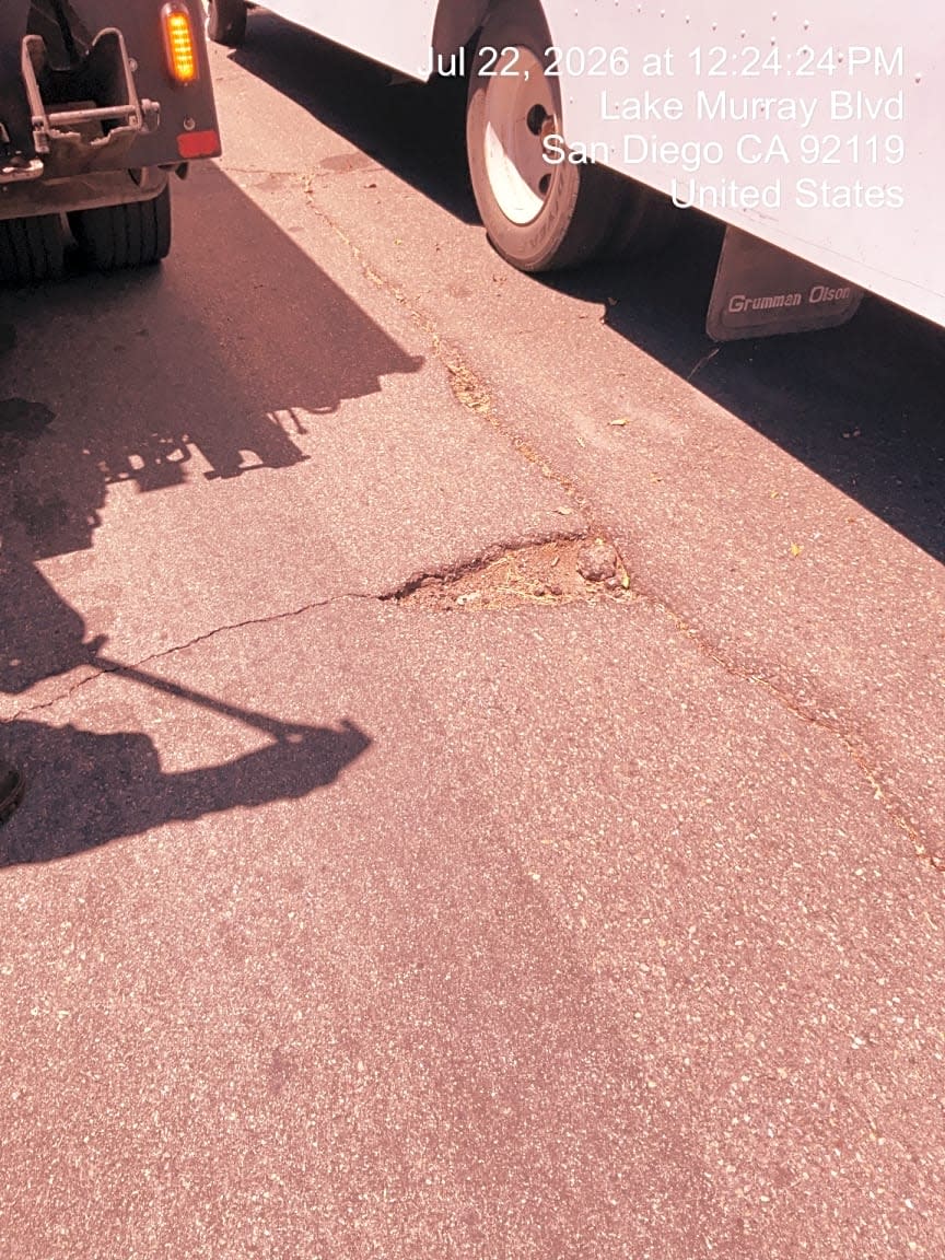 Image submitted with report
