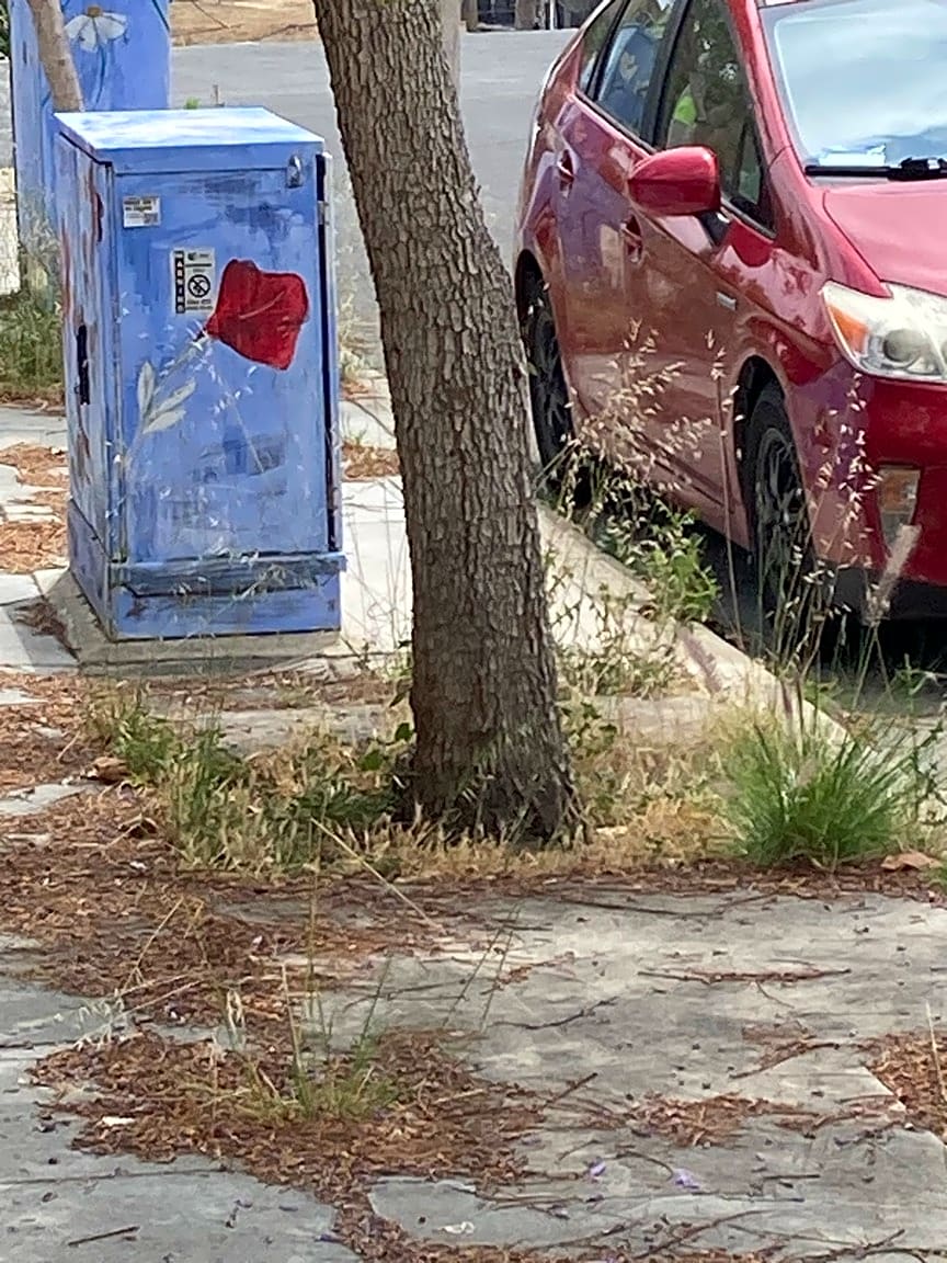 Image submitted with report