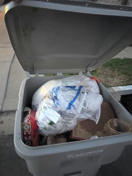 Image submitted with report