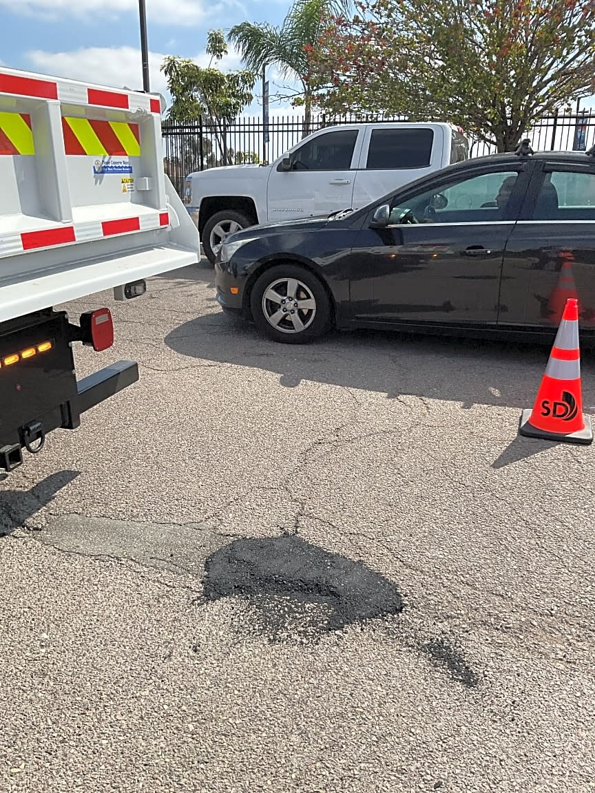 Image submitted with report