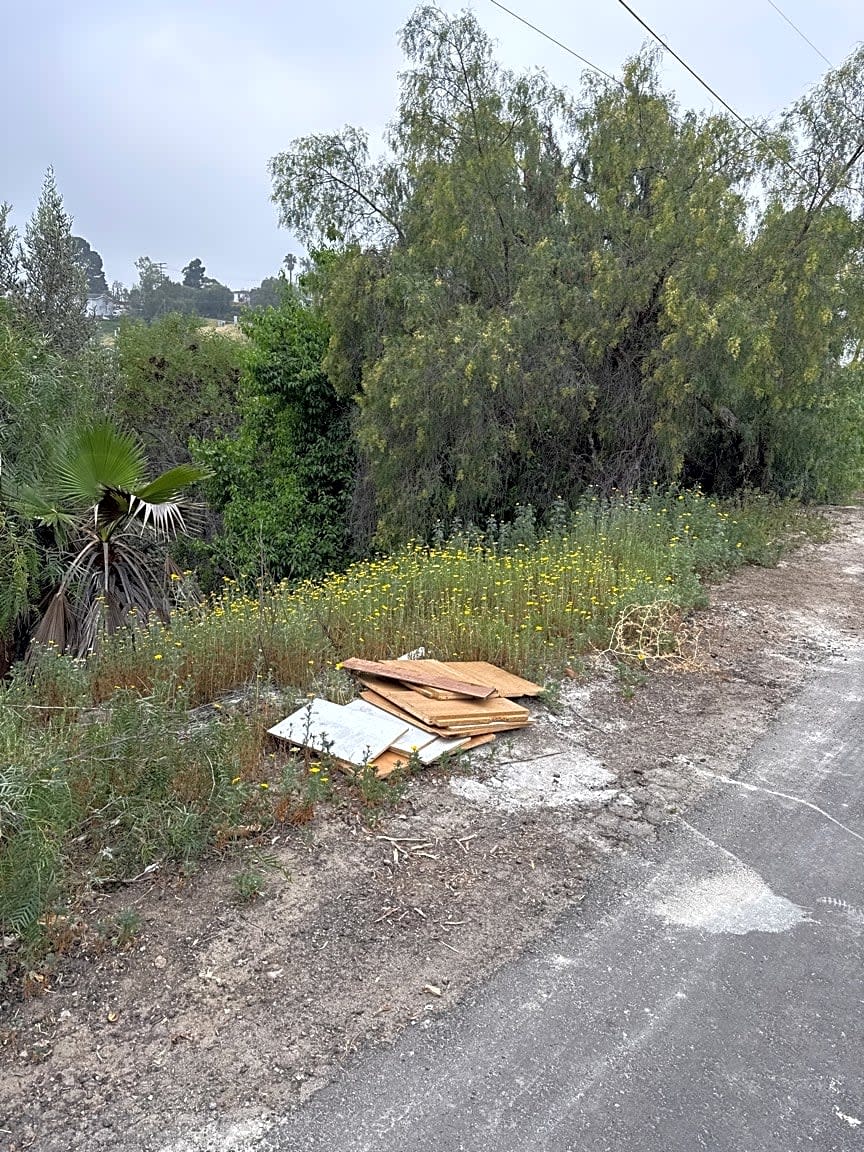 Image submitted with report