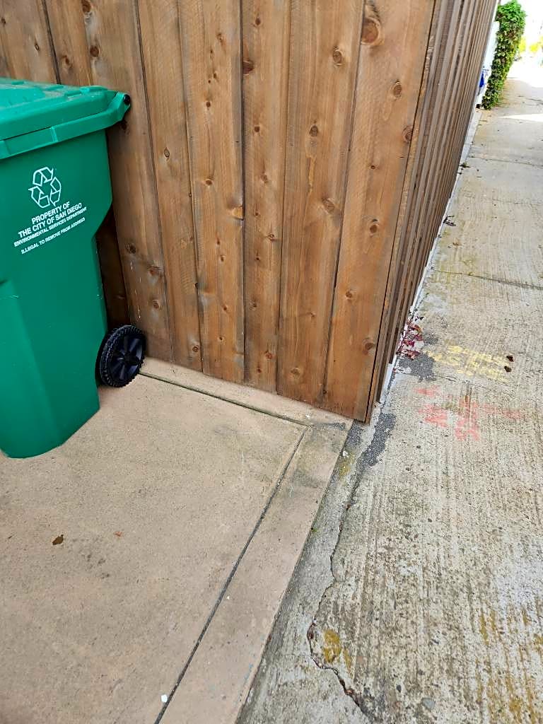 Image submitted with report