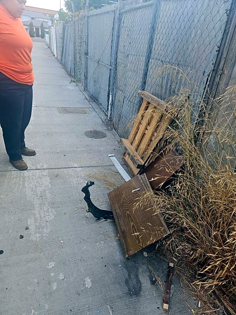 Image submitted with report