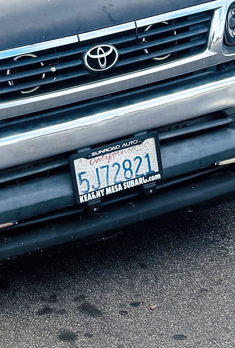 Image submitted with report