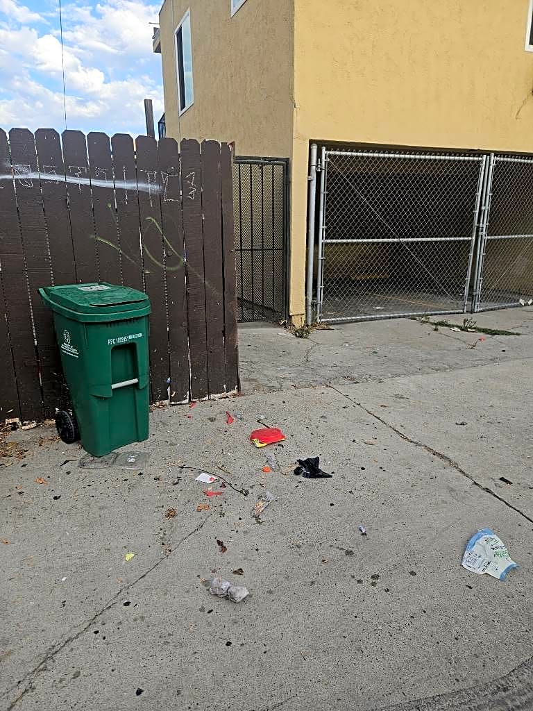 Image submitted with report