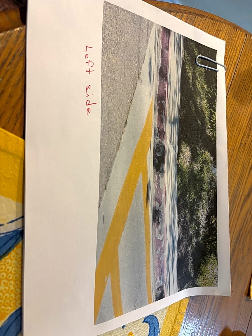 Image submitted with report