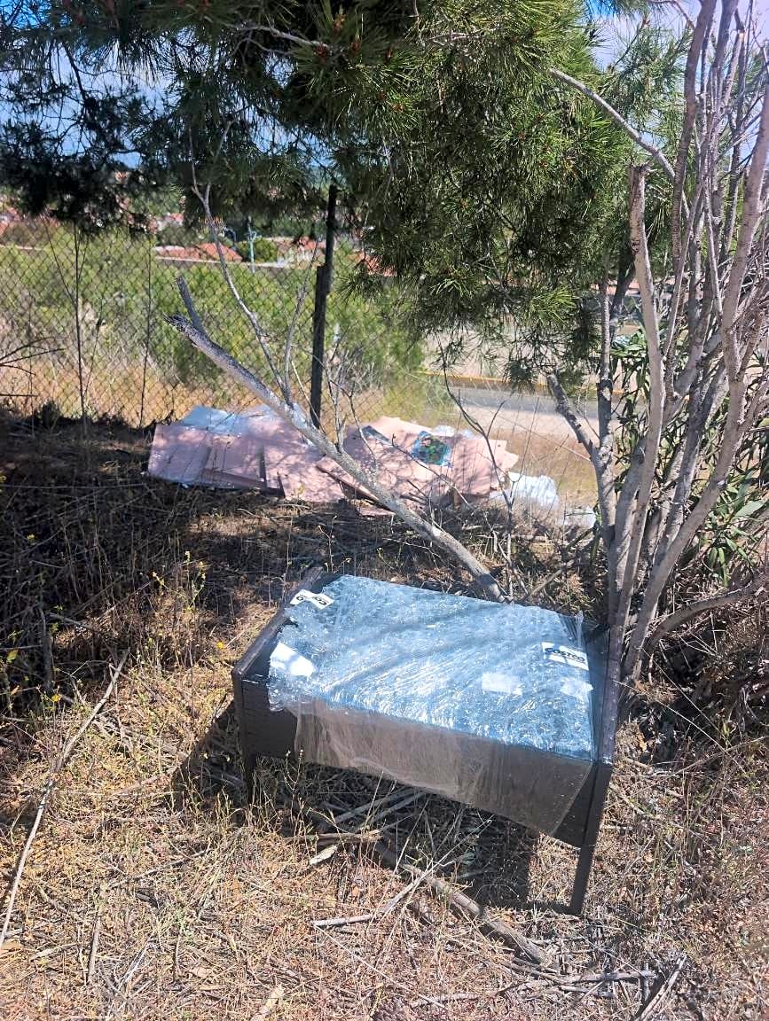 Image submitted with report