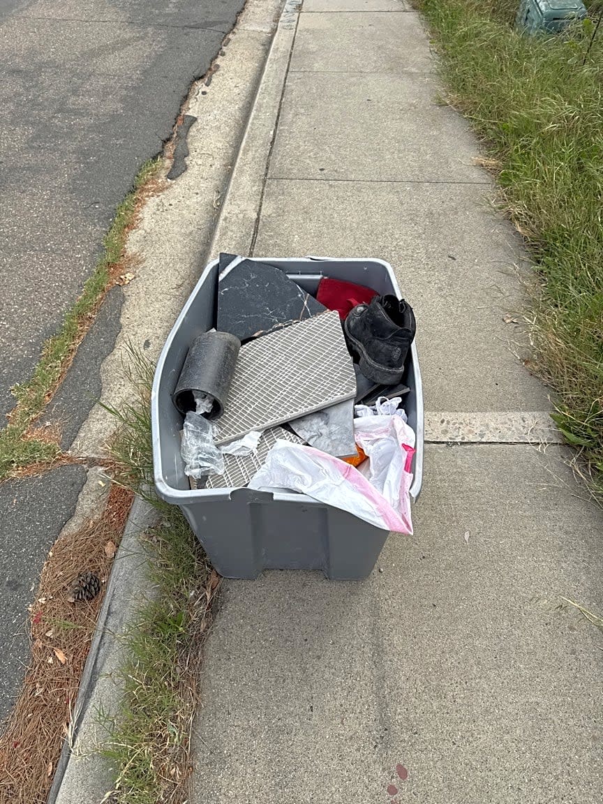 Image submitted with report