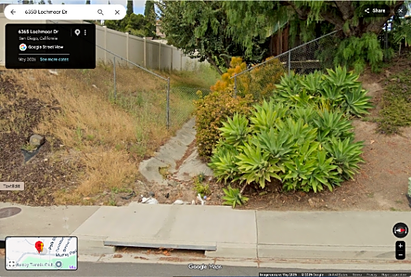 Image submitted with report