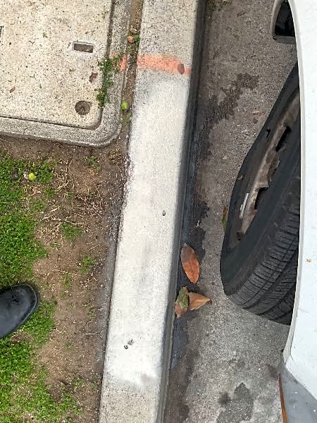 Image submitted with report